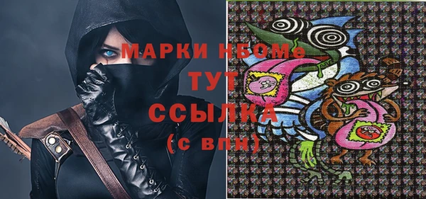прущий лед Алзамай