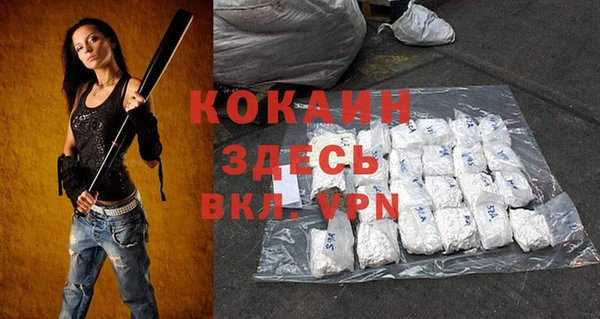 прущий лед Алзамай
