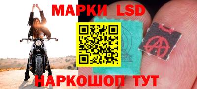 spice Балахна