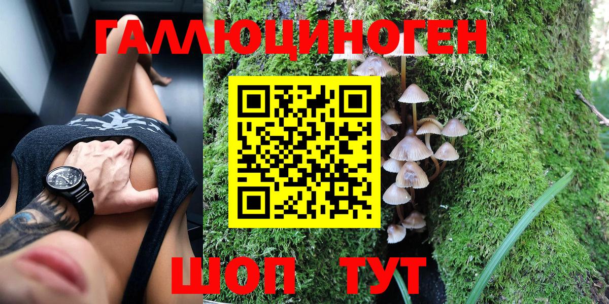 Галлюциногенные грибы ЛСД Железноводск