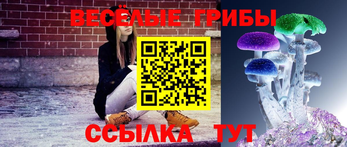 Галлюциногенные грибы Magic Shrooms Железноводск