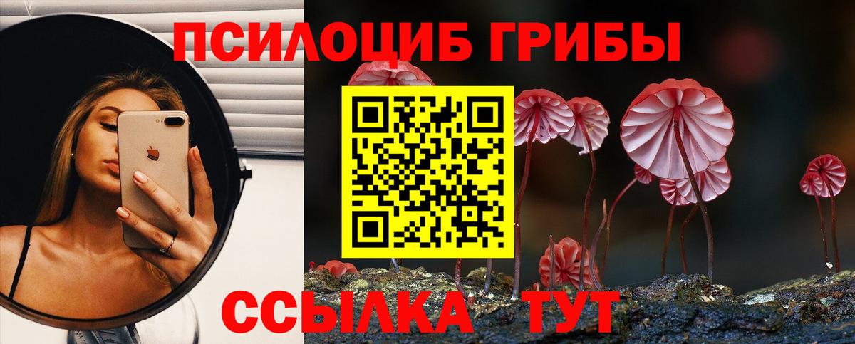 Железноводск  Псилоцибиновые грибы Psilocybe  Вход с VPN 